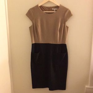 Fitted Business Casual Dress